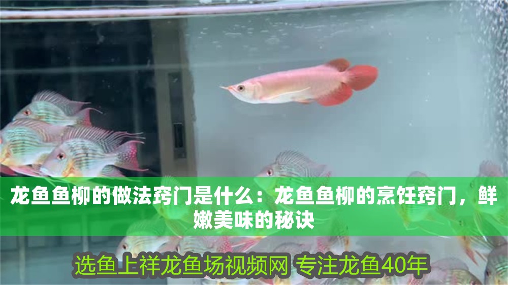 龍魚魚柳的做法竅門是什么：龍魚魚柳的烹飪竅門，鮮嫩美味的秘訣