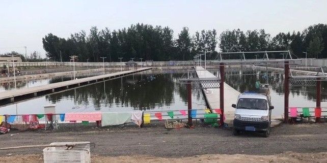 龍朝金龍魚養殖場