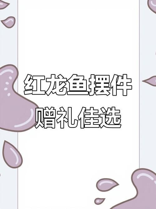 30公分的紅龍魚價(jià)格及圖片