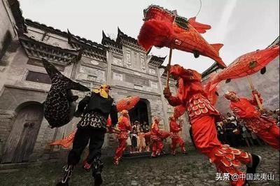 薩伊藍和龍魚混養：薩伊藍魚和龍魚可以混養嗎