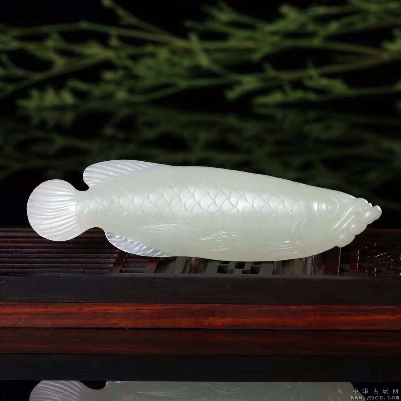 紋身紋金龍魚好嗎（金龍魚紋身具有豐富文化內涵和吉祥寓意的選擇并注意紋身后的保養）