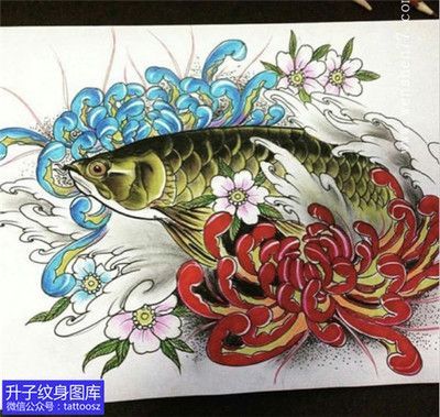 紋身紋金龍魚好嗎（金龍魚紋身具有豐富文化內涵和吉祥寓意的選擇并注意紋身后的保養）