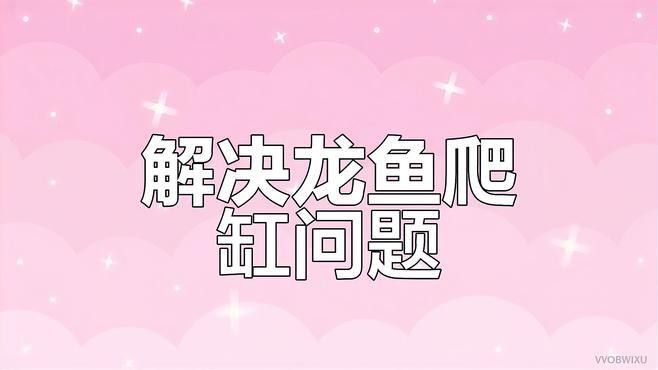 如何改善過背金龍魚的爬背？