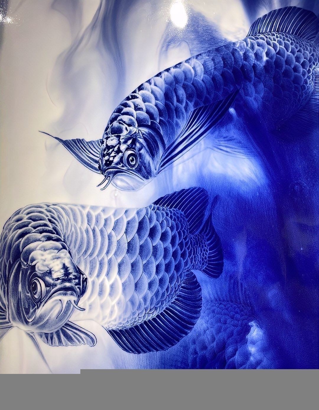 銀龍魚圖片大全素描畫