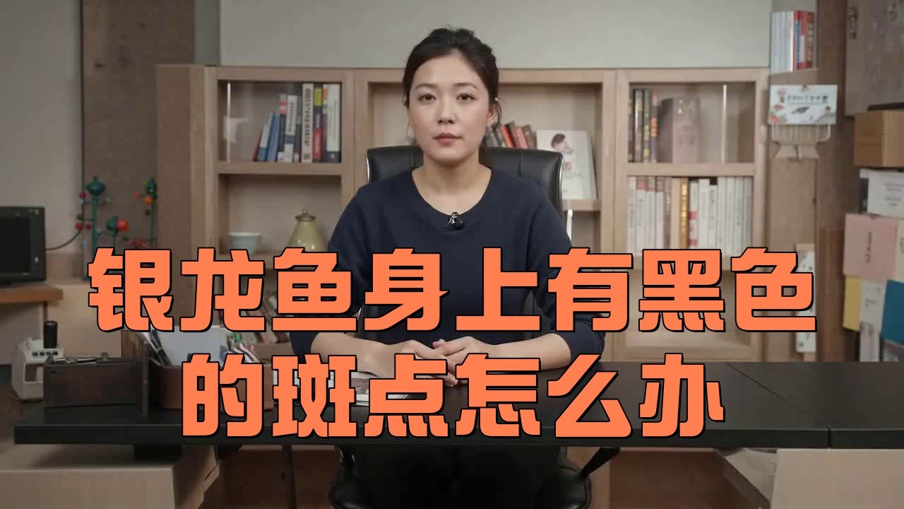 如何判斷銀龍魚是否健康？