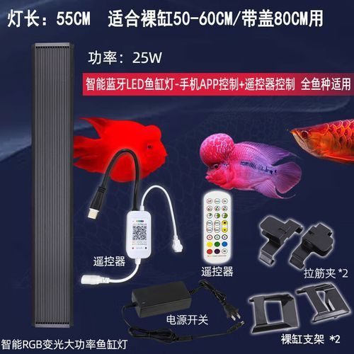 如何選擇適合拍攝金龍魚的手機？