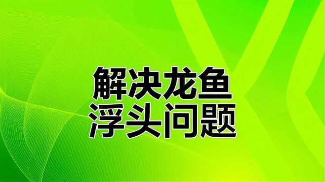 龍魚浮頭時應該如何急救？