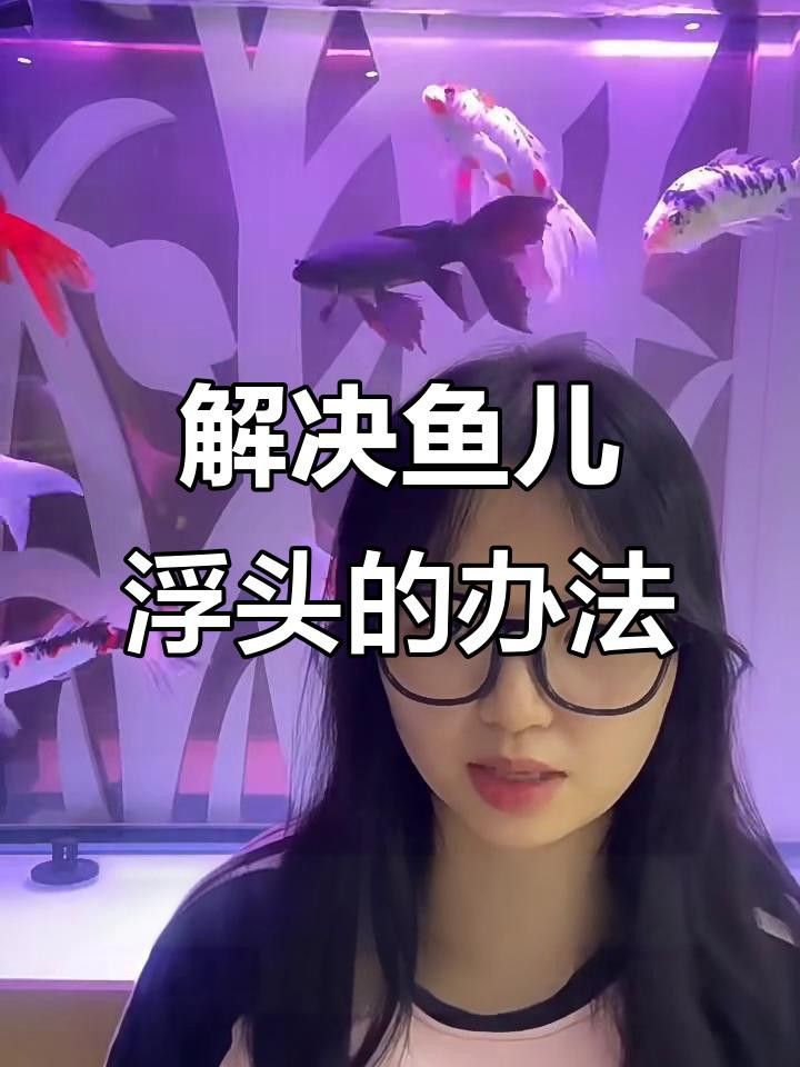 龍魚浮頭時應該如何急救？