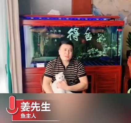 河北石家莊吃金龍魚（石家莊金龍魚特色做法） 河北石家莊吃金龍魚（石家莊金龍魚特色做法） 龍魚百科 第1張