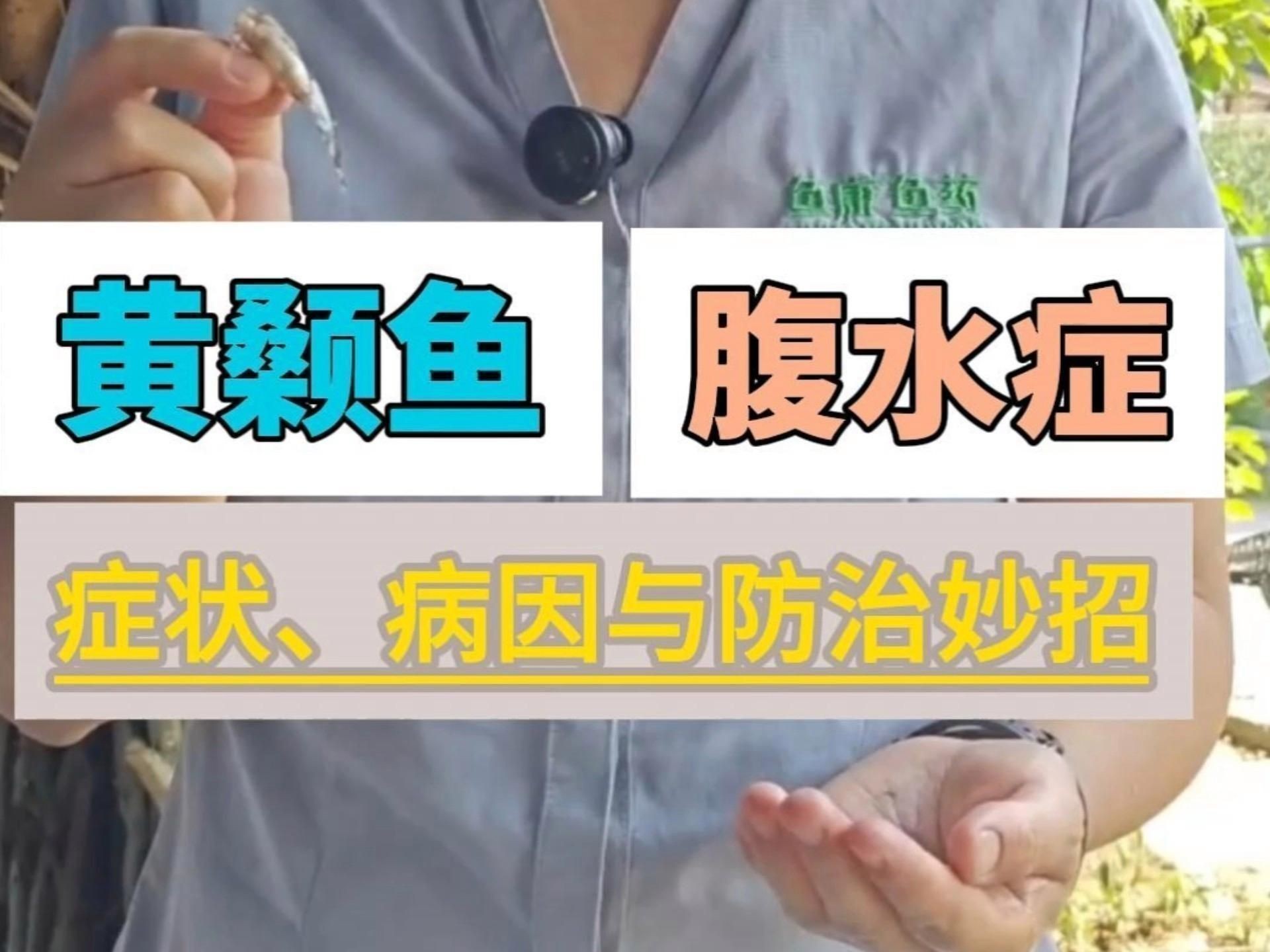 如何預防魚類腹水？