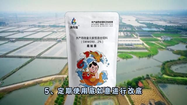 如何預防魚類腹水？