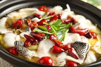龍魚是熱水魚嗎：龍魚是一種熱帶魚，對(duì)水溫有特定的要求