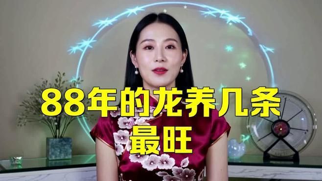 龍魚養幾條風水最好吉利