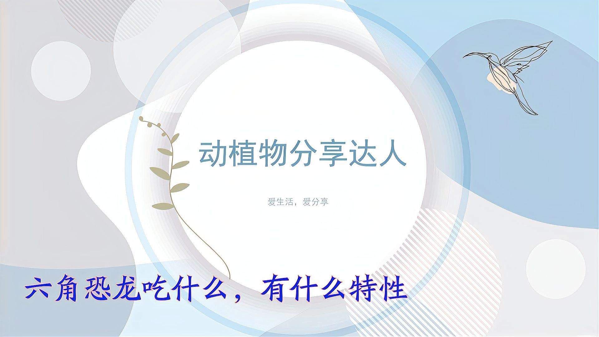 六角恐龍魚可以吃什么