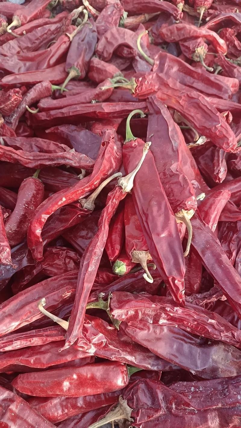 給我高清版頂級紅龍魚圖片