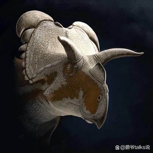 恐龍魚種類及圖片欣賞