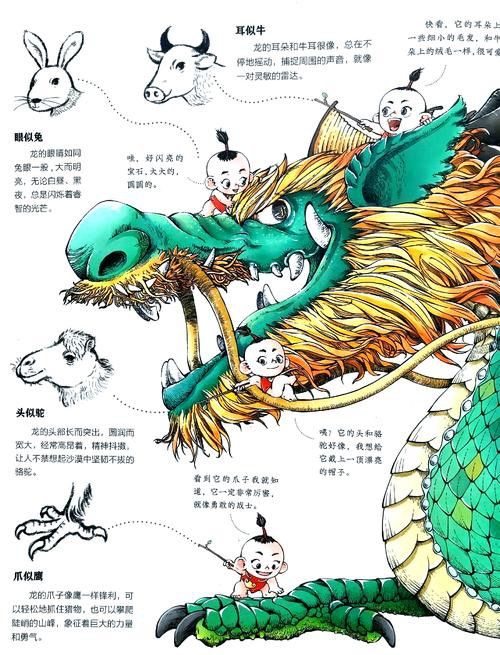 恐龍魚種類及圖片欣賞