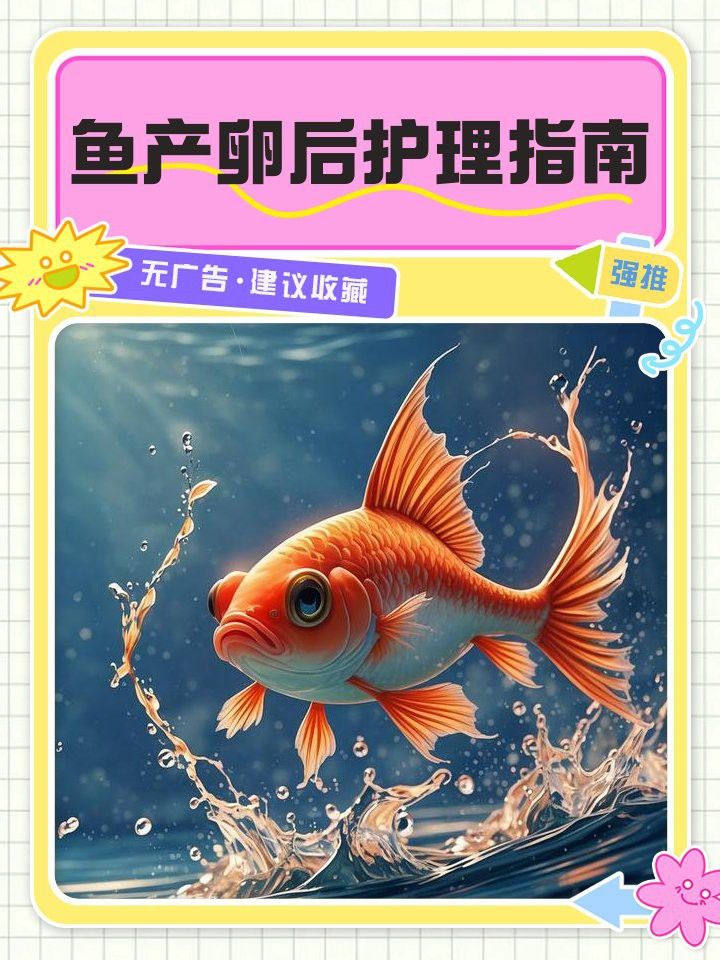 龍魚繁殖后如何護理？ 龍魚繁殖后如何護理？ 龍魚百科 第3張
