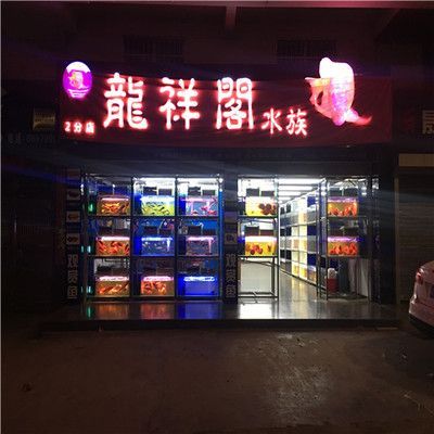 網上買龍魚好還是實體店好：網上購買龍魚和實體店購買各有優缺點各有優缺點 網上買龍魚好還是實體店好：網上購買龍魚和實體店購買各有優缺點各有優缺點 龍魚百科 第3張