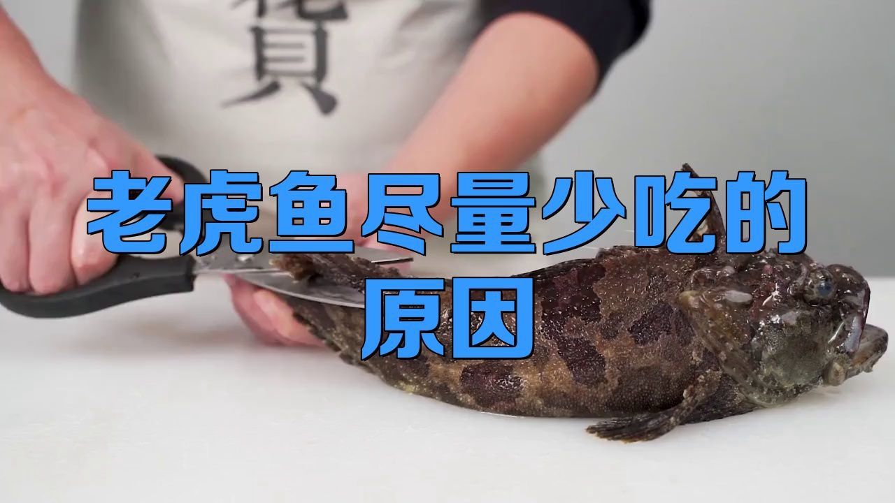 老虎魚盡量少吃的原因 老虎魚盡量少吃的原因 龍魚百科 第3張
