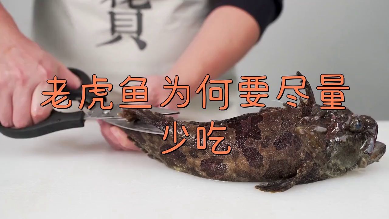 老虎魚盡量少吃的原因 老虎魚盡量少吃的原因 龍魚百科 第2張