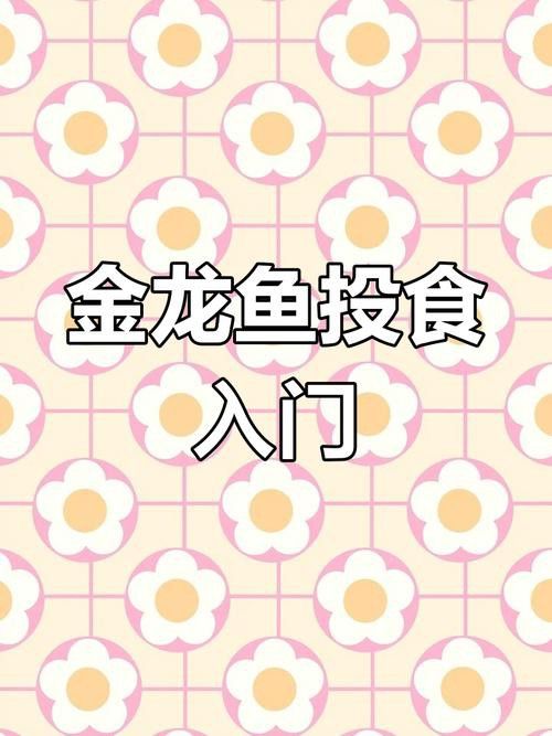 哪些食物適合用來訓練金龍魚？
