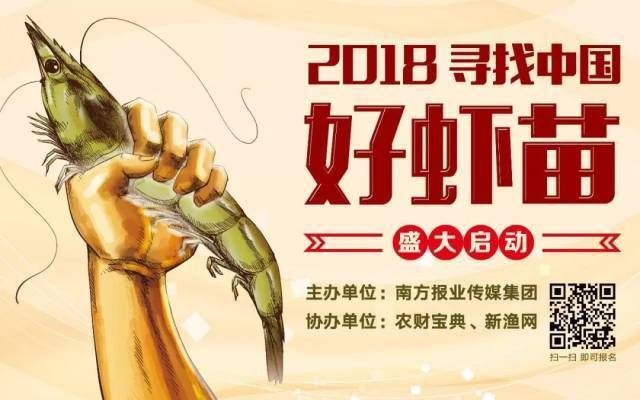 龍魚外寄生蟲感染后多久會死亡？ 龍魚外寄生蟲感染后多久會死亡？ 龍魚百科 第2張