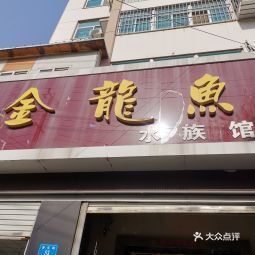 給我推薦幾家信譽良好的金龍魚水族店