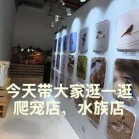 給我推薦幾家信譽良好的金龍魚水族店