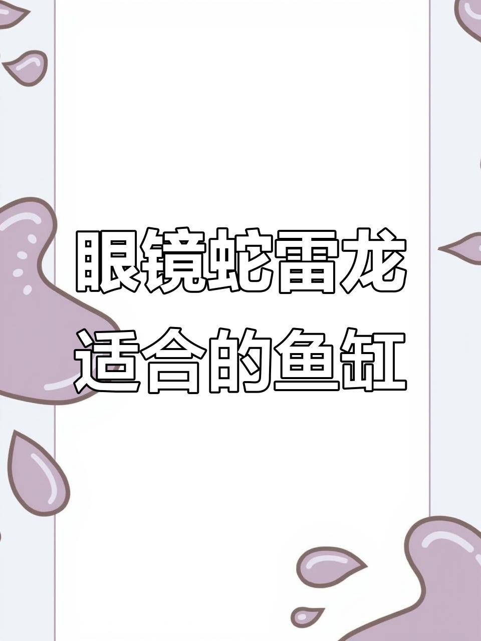 雷龍魚需要多大的魚缸？ 雷龍魚需要多大的魚缸？ 龍魚百科 第9張