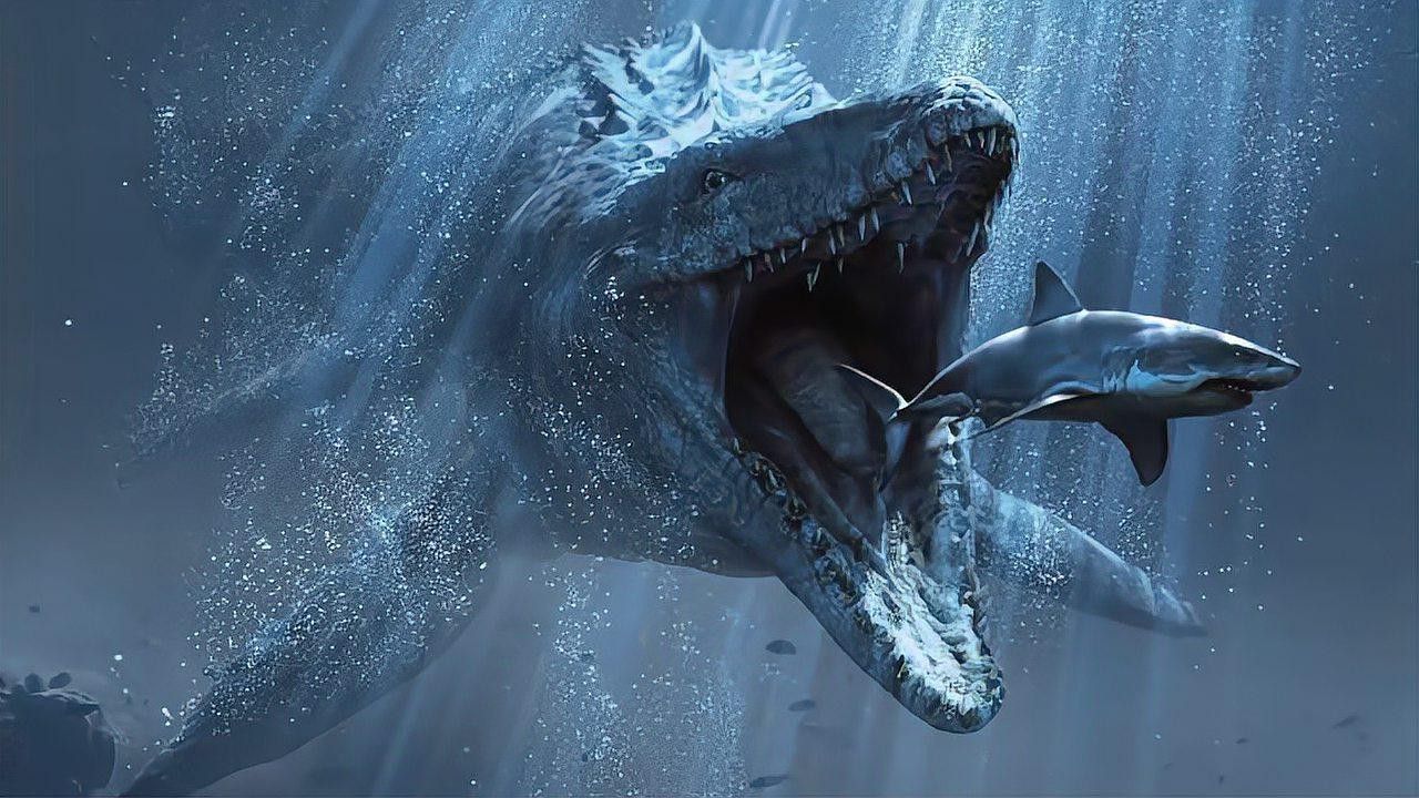 滄龍的主要獵物有哪些？