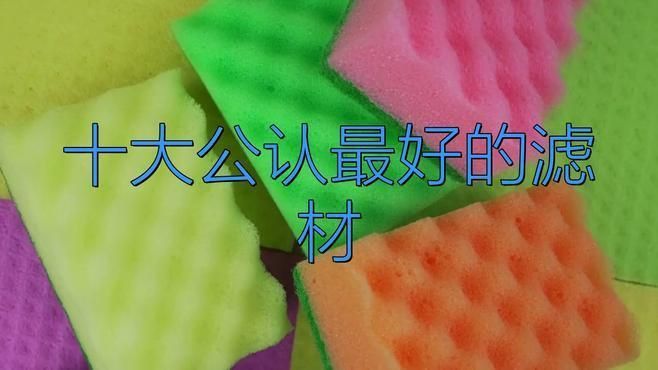 口碑最好的濾材前三名 龍魚百科 第2張 口碑最好的濾材前三名 口碑最好的濾材前三名 龍魚百科 第2張