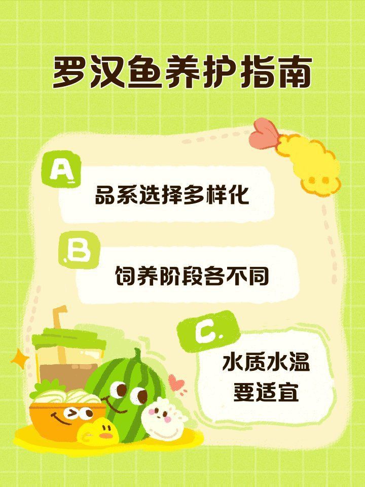 羅漢魚進貨最忌三種蔬菜 羅漢魚進貨最忌三種蔬菜 龍魚百科 第5張