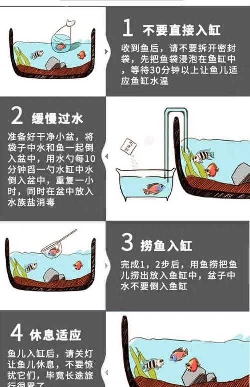 龍魚(yú)平時(shí)喂養(yǎng)什么飼料好