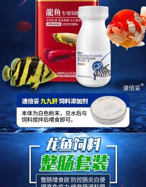 龍魚飼料魚是什么魚圖片