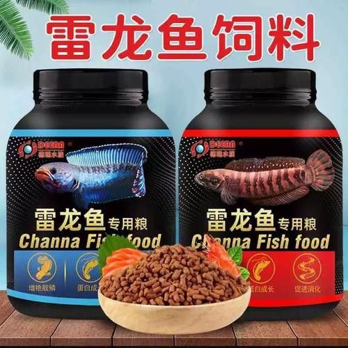 龍魚飼料魚是什么魚圖片