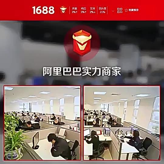 紅龍裝飾品有哪些材質選擇？ 紅龍裝飾品有哪些材質選擇？ 龍魚百科 第10張