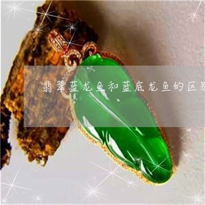 藍(lán)龍魚和金龍魚的區(qū)別：藍(lán)龍魚和金龍魚在外觀、飼養(yǎng)特性和市場價值等方面存在明顯的區(qū)別 藍(lán)龍魚和金龍魚的區(qū)別：藍(lán)龍魚和金龍魚在外觀、飼養(yǎng)特性和市場價值等方面存在明顯的區(qū)別 龍魚百科 第3張