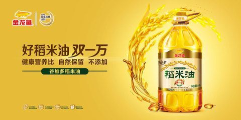 金龍魚宣傳海報(bào)設(shè)計(jì)理念（金龍魚宣傳海報(bào)的設(shè)計(jì)理念） 金龍魚宣傳海報(bào)設(shè)計(jì)理念（金龍魚宣傳海報(bào)的設(shè)計(jì)理念） 龍魚百科 第3張
