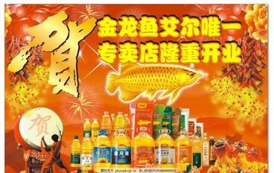 金龍魚宣傳海報(bào)設(shè)計(jì)理念（金龍魚宣傳海報(bào)的設(shè)計(jì)理念） 金龍魚宣傳海報(bào)設(shè)計(jì)理念（金龍魚宣傳海報(bào)的設(shè)計(jì)理念） 龍魚百科 第4張