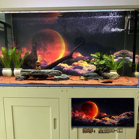 1米龍魚缸用啥背景好養（養金龍魚用什么顏色的背景好-【龍魚之巔）