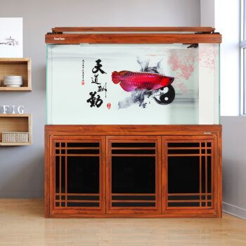 1米龍魚缸用啥背景好養（養金龍魚用什么顏色的背景好-【龍魚之巔）