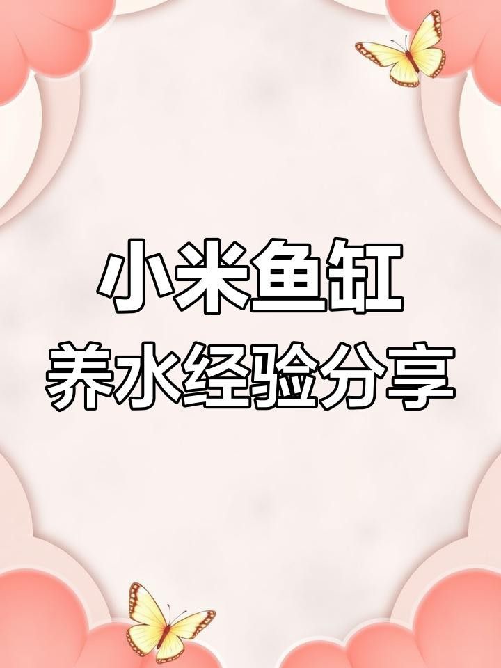如何判斷頂級紅龍魚是否吃飽？