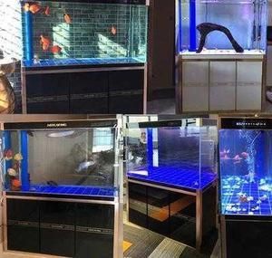 龍魚為什么在缸底：龍魚為什么在缸底游動