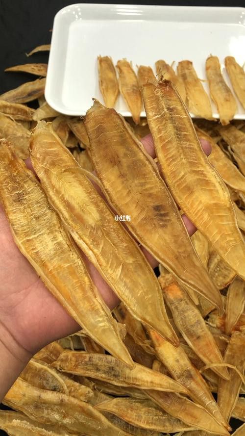 金龍魚二維碼
