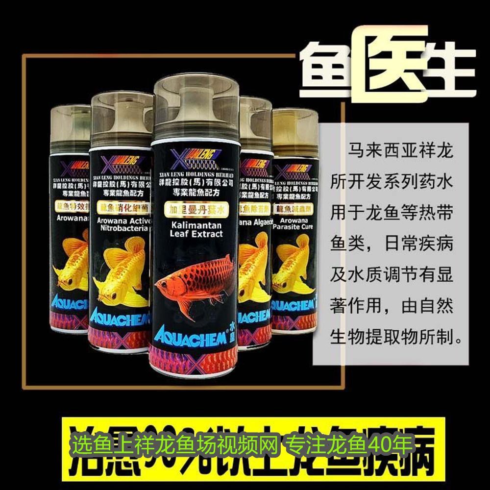 紅龍魚換水可以喂食嗎：紅龍魚換水需要加鹽嗎？科學(xué)養(yǎng)魚的關(guān)鍵解析