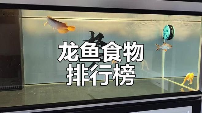 紅龍魚除了飼料還能吃什么？