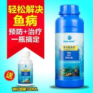 龍魚有白點病可以沖浪嗎：龍魚有白點病可以沖浪嗎治療白點病的關鍵步驟是什么