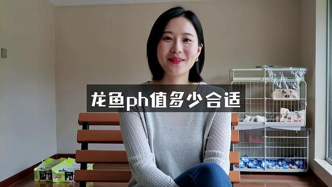 金龍魚與虎魚混養可以嗎圖片欣賞