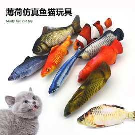 西安龍魚批發在哪里進貨的 西安龍魚批發在哪里進貨的 龍魚百科 第3張